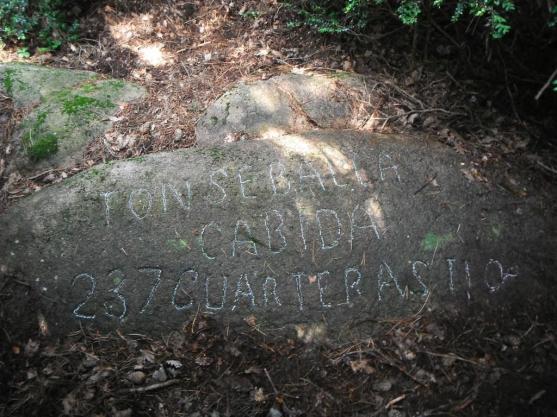 Pedra amb inscripció a Fontsavellà
