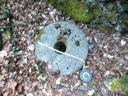 Curres al molinot del Molí Nou