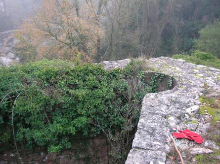 Bassa i cup del molí del Sors